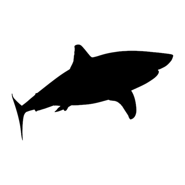 shark silhouette black isolated with white background