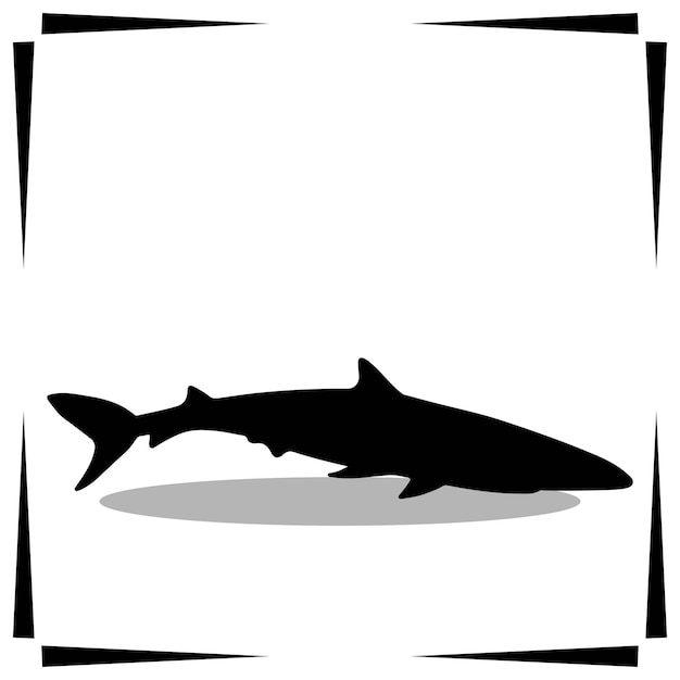 Vector shark silhouette illustration shark silhouette icon