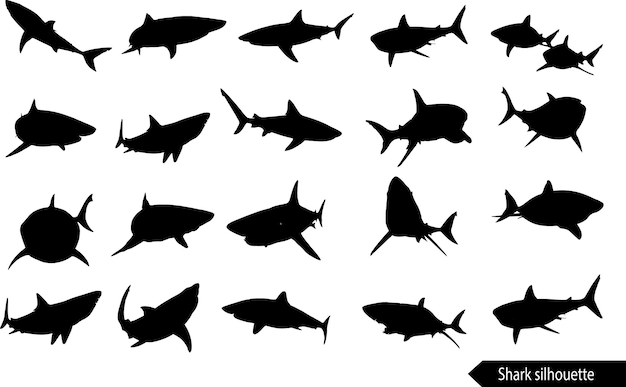 Shark silhouette set