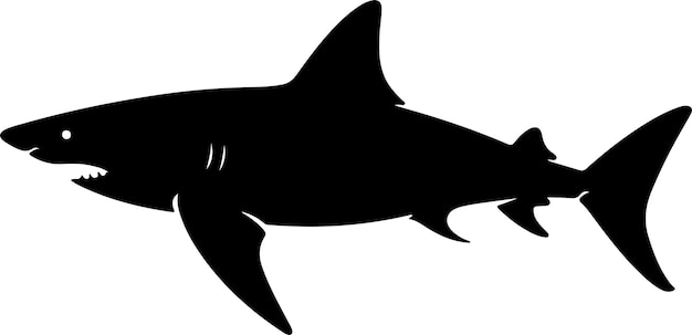 Vector shark silhouette vector illustration white background