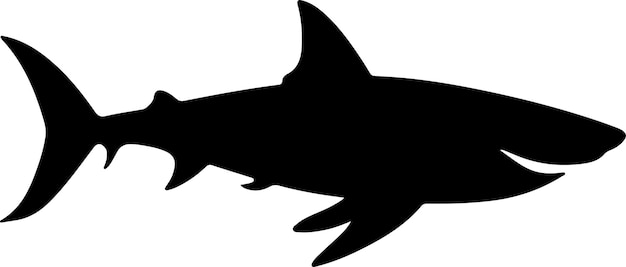 Shark Silhouette Vector Illustration White Background