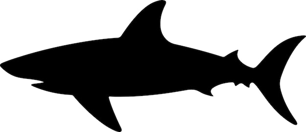 Shark Silhouette Vector Illustration White Background