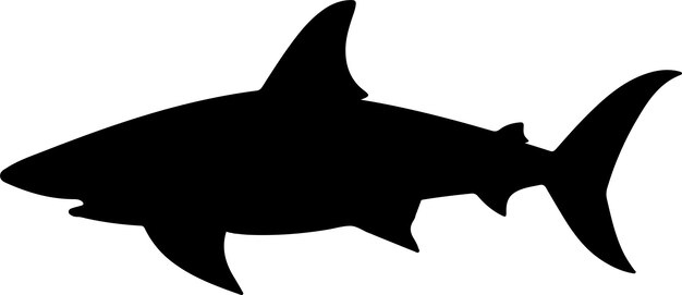 Vector shark silhouette vector illustration white background