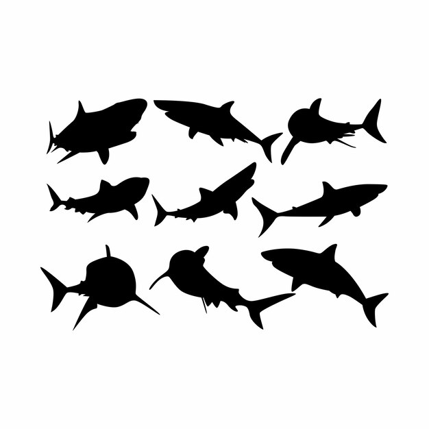 Shark silhouette vector illustration