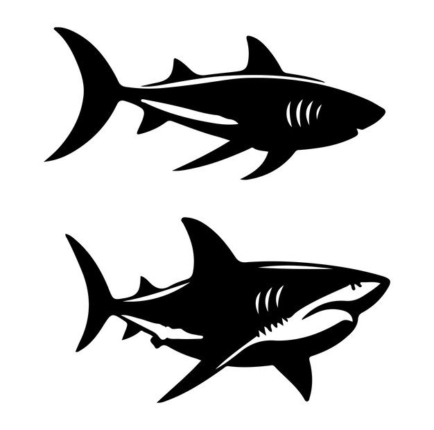 Vector shark silhouette vector