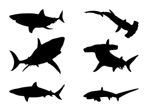 Vector shark silhouette