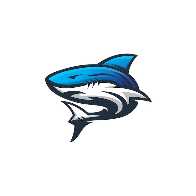 Shark sport logo design template modern abstrack