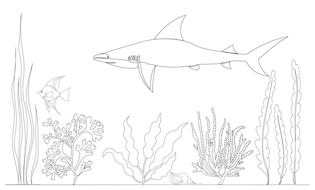 Shark swims one line drawing isolated, vector