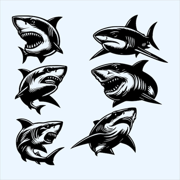 Vector shark vector set collection illustration in black and white colors isolated