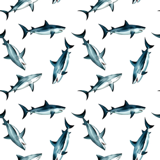 Shark watercolor in seamless pattern