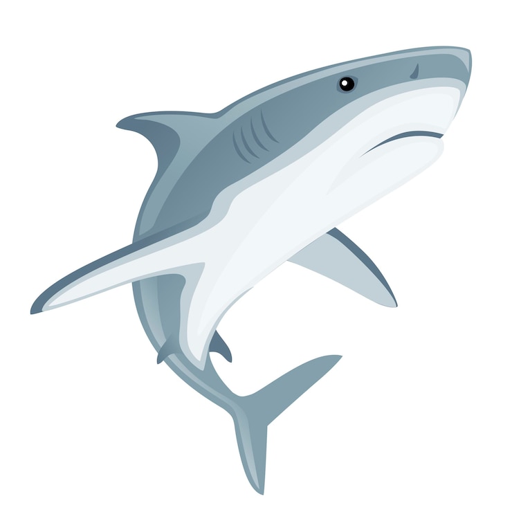 Shark with mouth closed giant apex predator cartoon animal design flat vector illustration