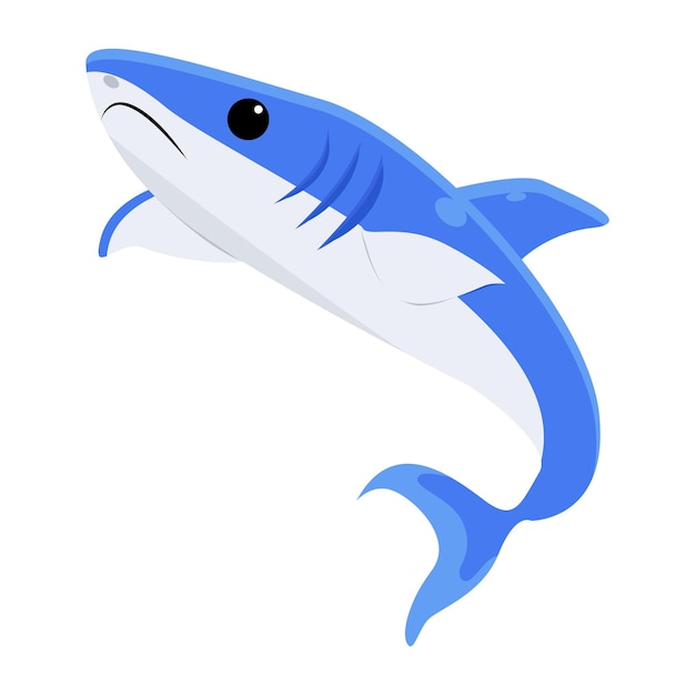 Uno squalo con la pancia bianca e gli occhi neri è su uno sfondo bianco.