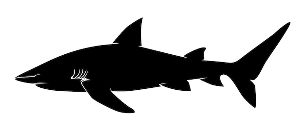 Vector shark