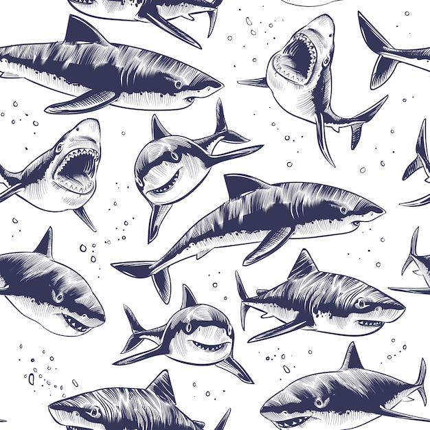 Vector sharks seamless pattern. hand drawn underwater sea fish nautical japanese background