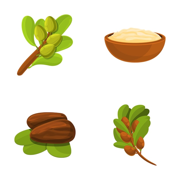 Shea plant icons set cartoon vector shea nut and leaf with liquid extract