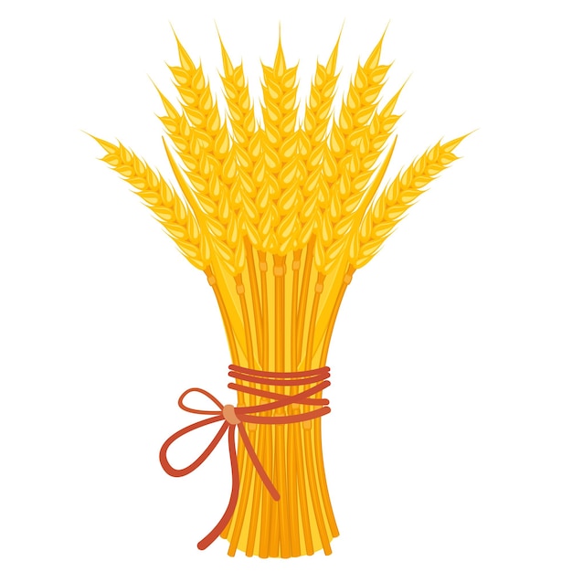 Вектор Сноп пшеницы с ленточным букетом желтых колосьев на белом урожае зерновых культур связки сухой страты