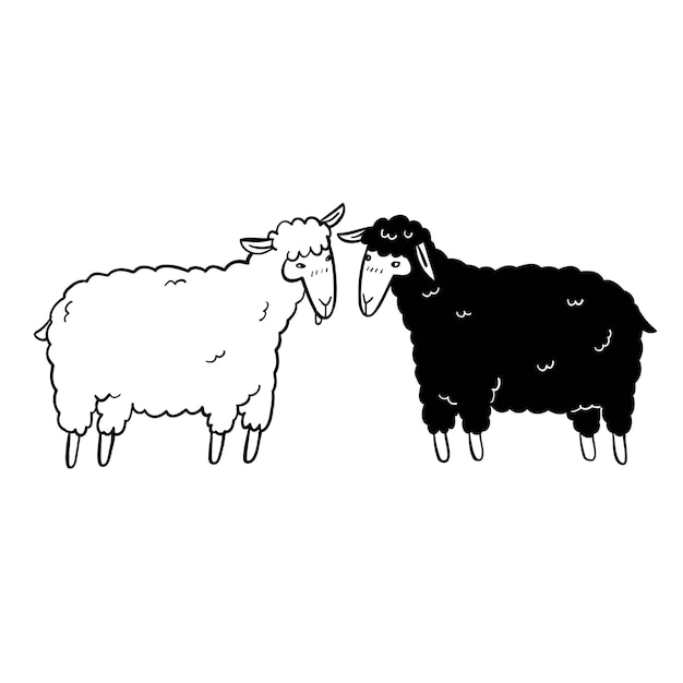 The sheep black and white hand drawn vector illustration