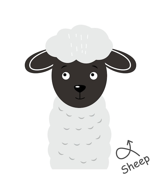 Sheep Cartoon character Vector