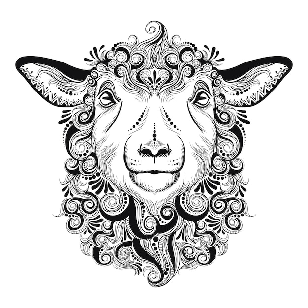 Sheep coloring book. Anti-stress illustration. Coloring for adult in zentangle style