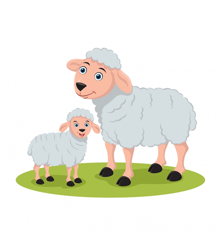 양과 어린 양 그림