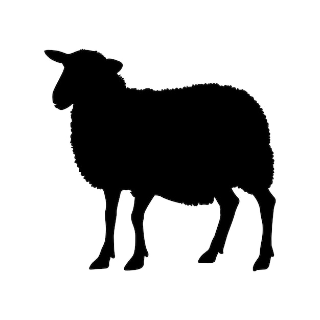 Vector sheep silhouette isolated on white background vector illustration