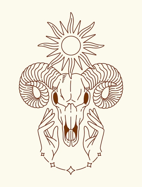 sheep skull line art illustration vector