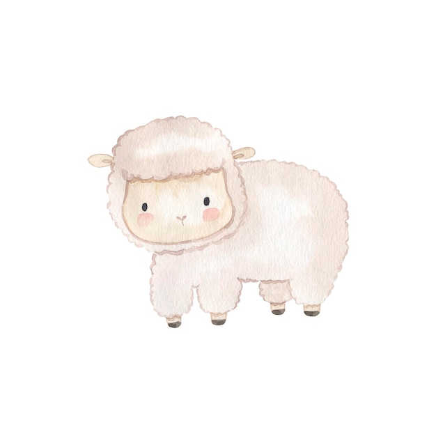 Sheep watercolor illustration for kids