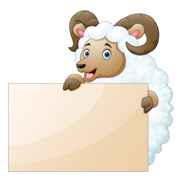 Vector sheep with empty boards on a white background