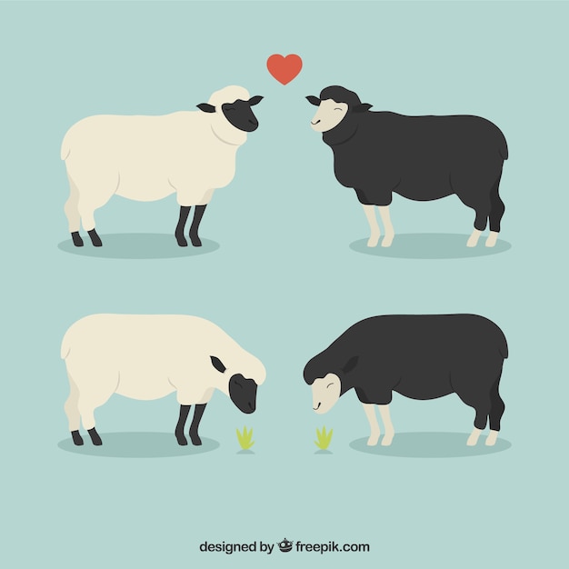 恋に羊
