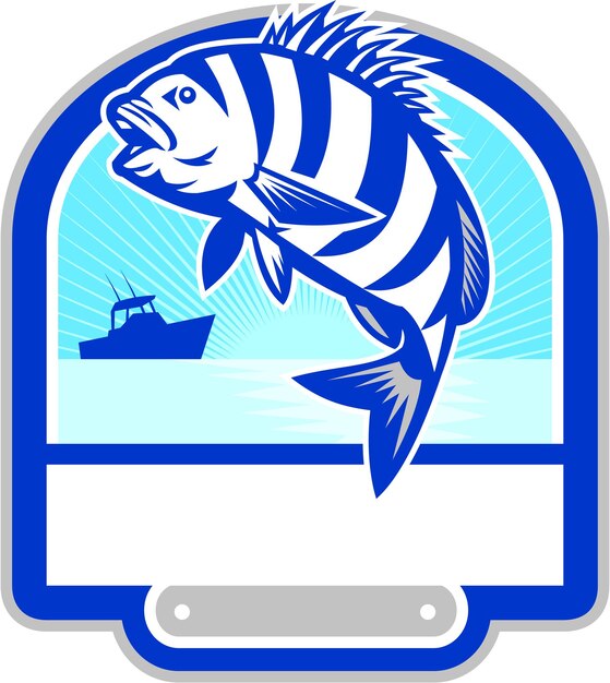 Sheepshead fish jumping peschereccio crest retro