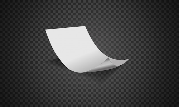 sheet of curled paper