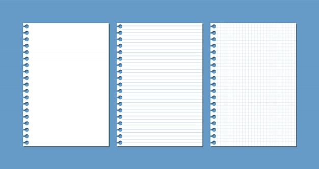 Sheets of paper from a notebook or notepad