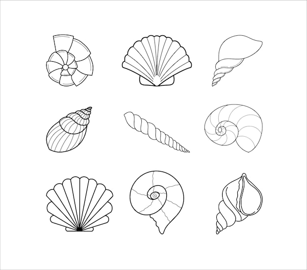 Shell Collection