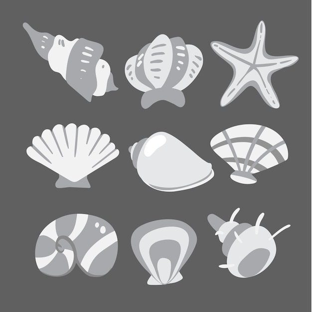 Shell vector collection design