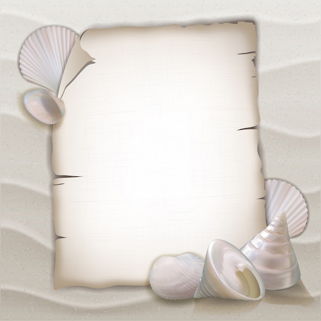 Vector shells and blank paper sheet