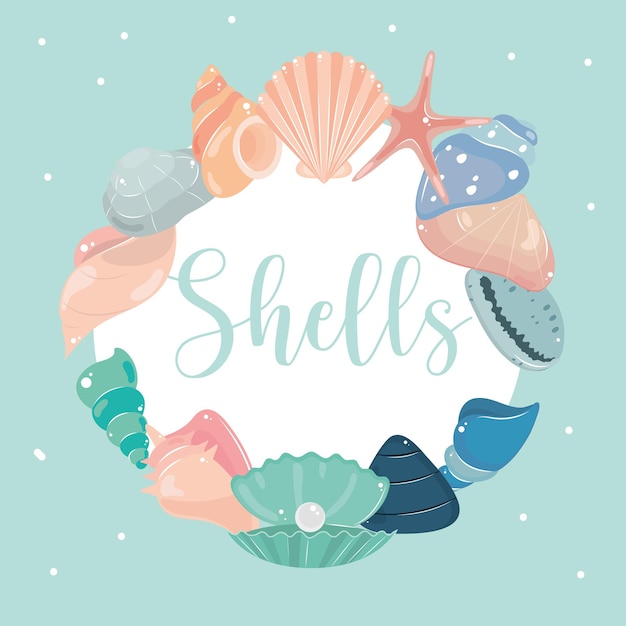 Shells marine life