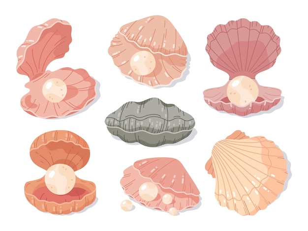 Conchiglie con perle conchiglia di capesante con conchiglie aperte di perle set di illustrazioni vettoriali piatte per molluschi di mare oceano fauna perle in conchiglia