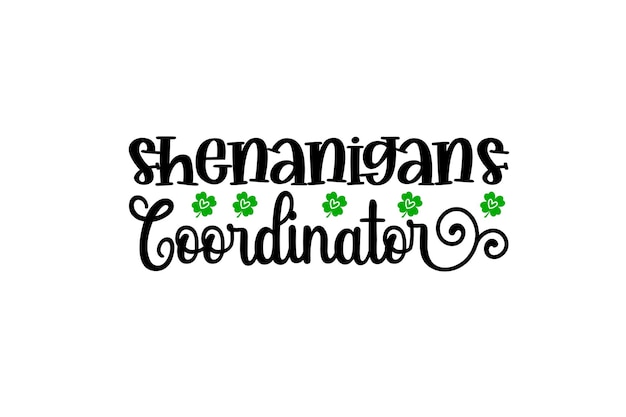 shenanigans coördinator ontwerp