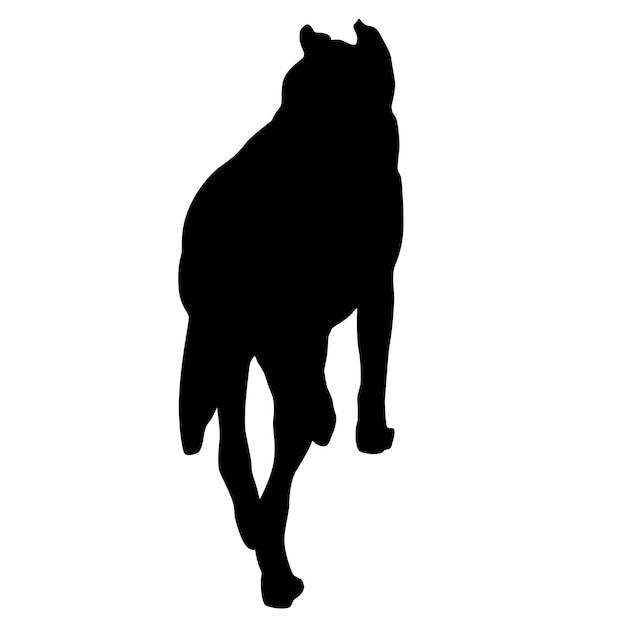 Vector shepherd dog silhouette on a white background