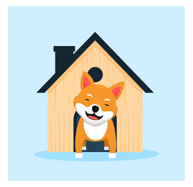 Shiba inu dog at home