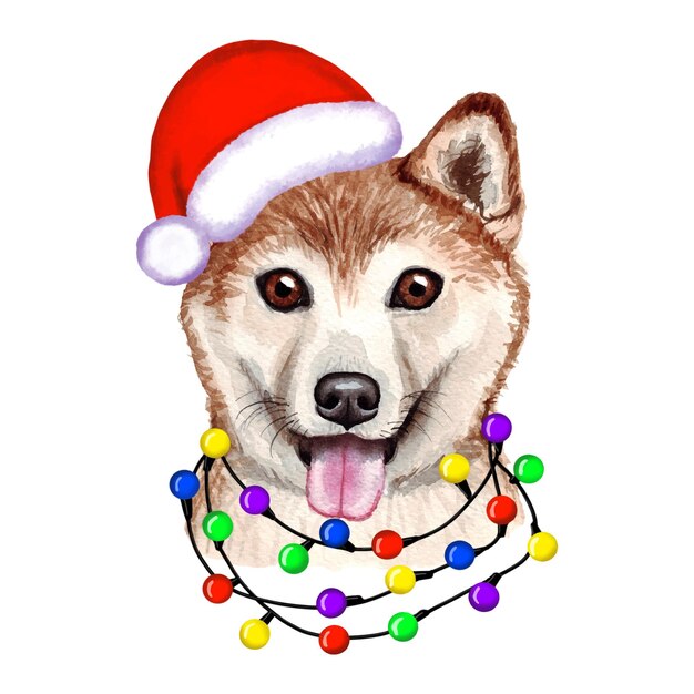 Vettore shiba inu dog con luci di natale nel cappello di babbo natale. illustrazione sveglia del cucciolo di natale.