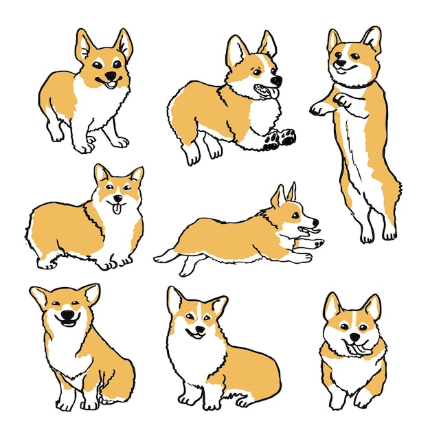 Vector shiba inu honden illustratie