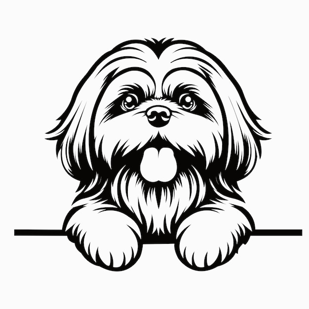 Shih Tzu dog peeking isolated illustration vector