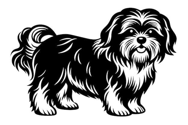 shih tzu dog vector silhouette art illustration