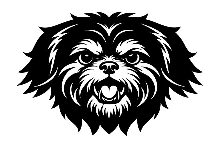 Vector shih tzu 개 터 실루 미술 일러스트레이션
