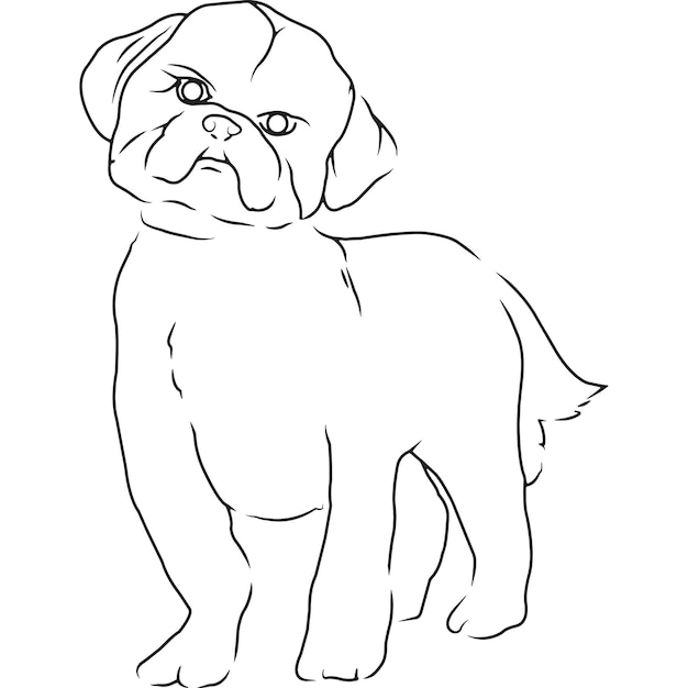 Vector shih tzu hond hand geschetst vector tekening