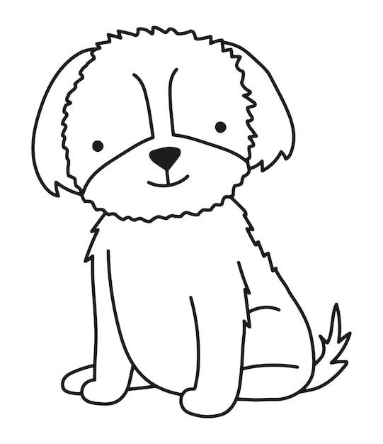 Illustrazione vettoriale del cane shihtzu