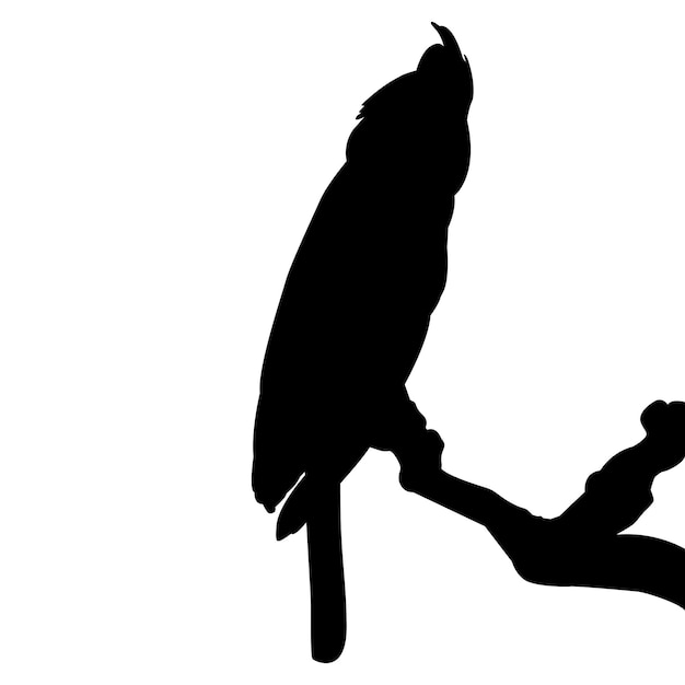 Vector shillouette bird and vector illustration