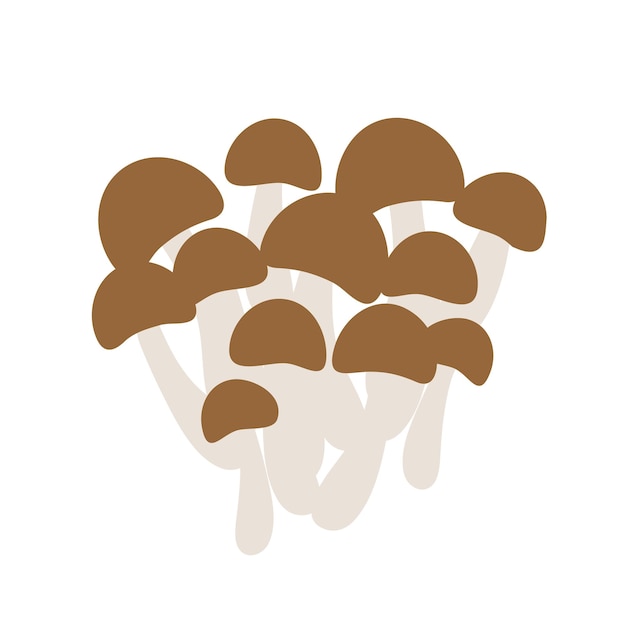 Vector shimeji mushroom