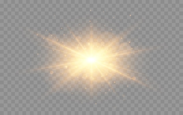 Shine glowing stars. Golden vector lights and sparks isolated. Vector illustration.